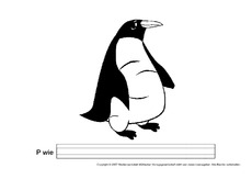 P-wie-Pinguin.pdf